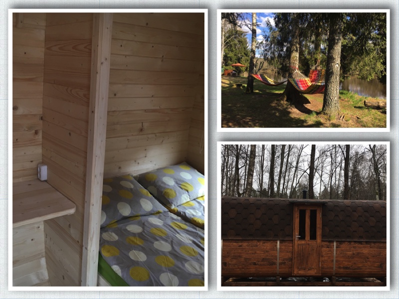 Majinas mucas kolaza